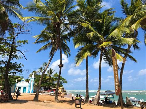 Praia do Forte, Bahia: o que fazer, praias e 10 dicas essenciais