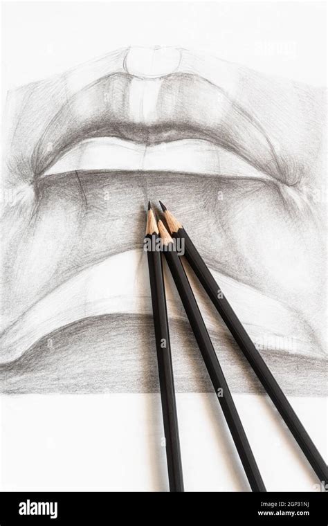 wooden graphite pencils on hand-drawn academic drawing of male lips close up Stock Photo - Alamy