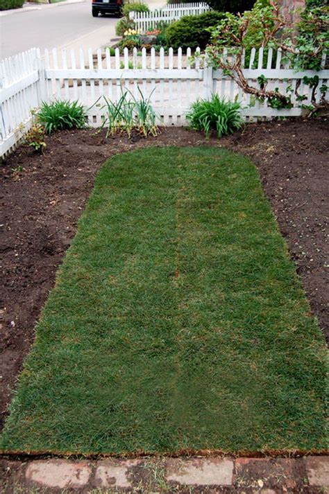 How to Lay Sod for a Beautiful Lawn | How to lay sod, Diy lawn, Lawn care