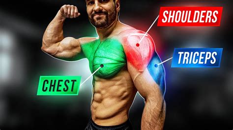 5min Home Chest Shoulders and Triceps Workout (DUMBBELLS ONLY PUSH WORKOUT!!) - YouTube