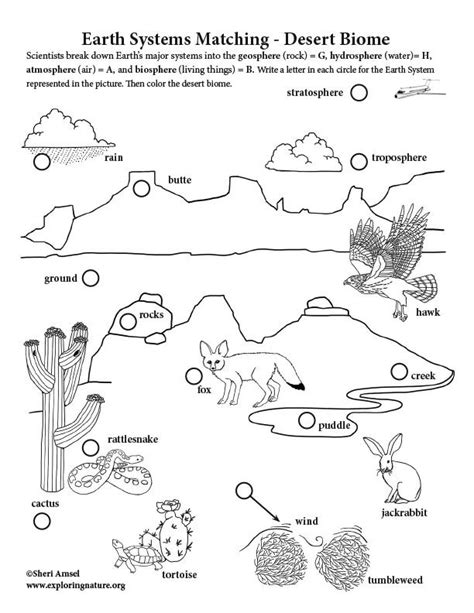 Earth Systems Matching - Desert Biome | Desert biome, Biomes, Deserts