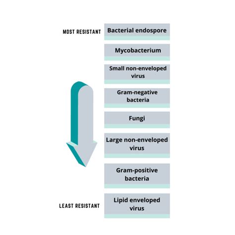 Resistance of Microorganisms against Disinfectants | TECOLAB