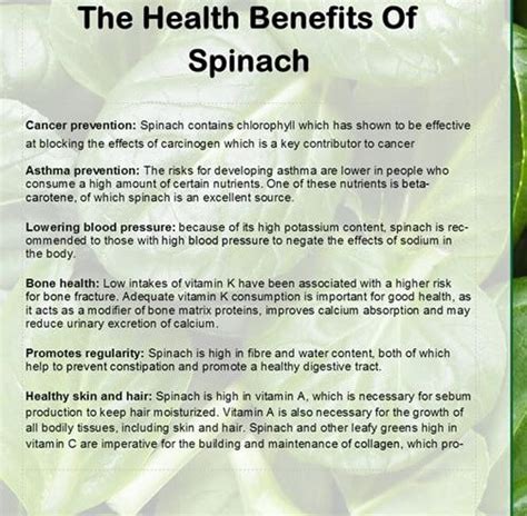 Health Benefits of Spinach - WellBeing Pro