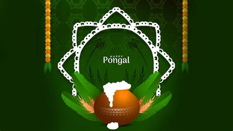 Happy Pongal Wishes 2023: WhatsApp Quotes & Messages | Pongal 2023 Wishes | HerZindagi