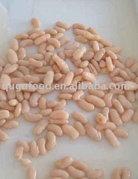 canned kidney beans,China customer's brand price supplier - 21food