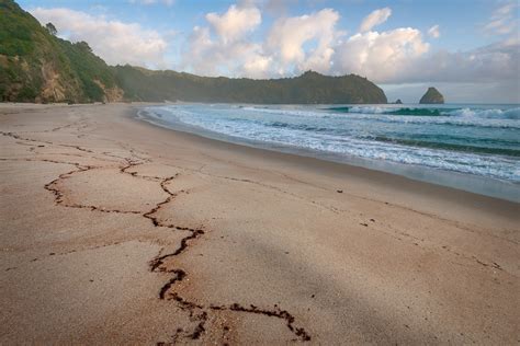 New Chums Beach – Daniel Murray Photography – New Zealand Landscapes ...