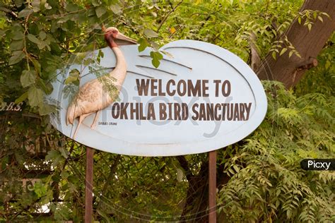 Image of Okhla Bird Sanctuary, Noida, Uttar Pradesh-EC769529-Picxy