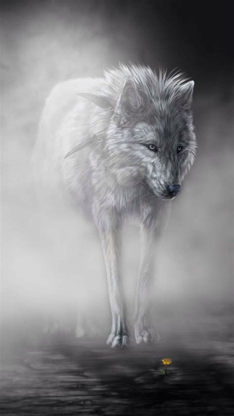 White Wolf Anime - Some examples of anime with werewolf characters include spice and wolf, dance ...