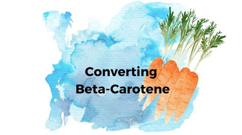 BCO1 Gene: Converting Beta-Carotene to Vitamin A