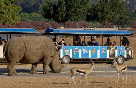 Family fun at Israel Zoo and Safari near Tel Aviv