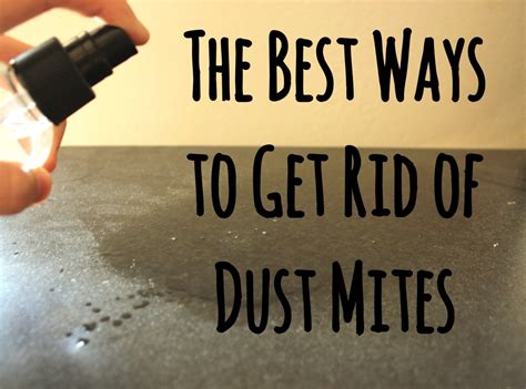 12 Ways to Get Rid of Dust Mites in Your House - Dengarden
