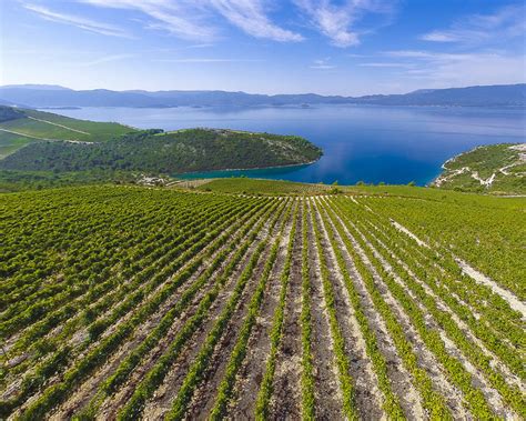 Croatian Wine Regions: A Quick Overview