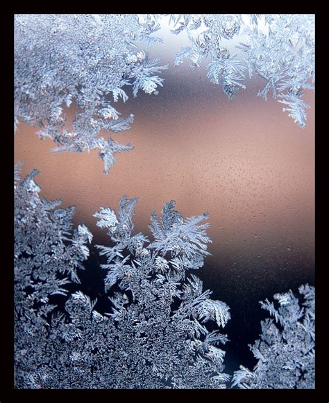 Browse Photography on DeviantArt | Frost, Winter frost, Winter time