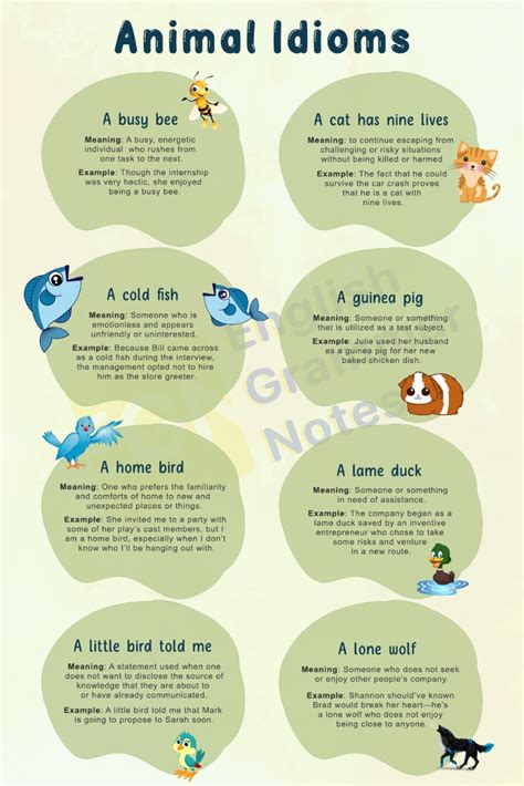 Animal Idioms | List of Animal Idioms With Meaning and Examples – English Grammar Notes