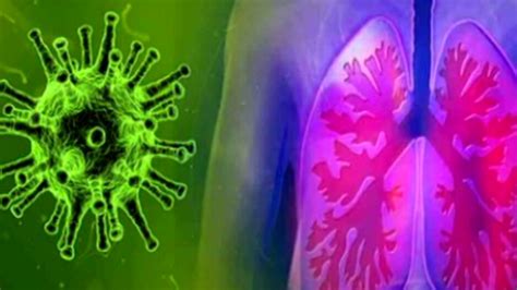 59 H3N2 Influenza Cases Detected in Odisha - Odisha TV