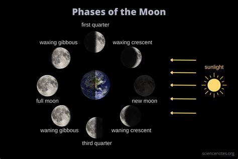 Phases of the Moon - Lunar Phases