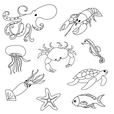 Sea Animals Coloring Page Stock Illustration - Image: 56196289