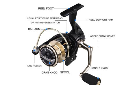 All Parts Of A Spinning Reel Every Angler Should Know