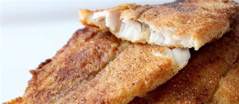 Pan Fried Breaded Catfish Recipe | Bryont Rugs and Livings