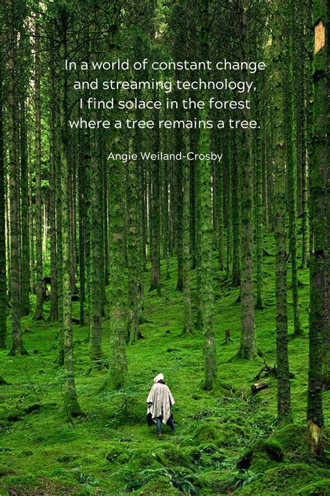 Forest Lover Quotes in 2020 | Nature quotes, State parks, Nature quotes inspirational