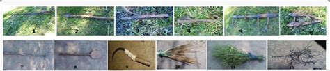 Some of traditional ploughing equipment 1. Mofer 2. Maresha 3. Miran 4.... | Download Scientific ...