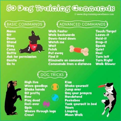 The 5 Most Effective Protection Dog Training Tips You Need To Know!