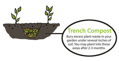 Video: Trench composting in 60 seconds - Gardening at USask - College of Agriculture and ...