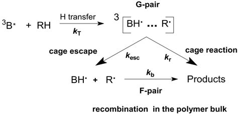 Scheme 3. Elementary chemical reactions of photoexcited benzophenone ...