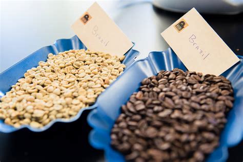 5 of the Best French Roast Coffee Beans Anywhere - The Coffee Bean Menu