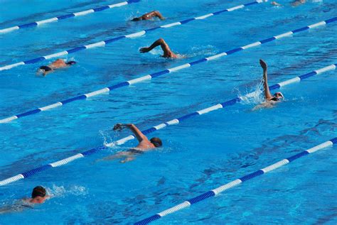 Swimming Lanes | Swimmers do laps at an outdoor pool near Wo… | Flickr