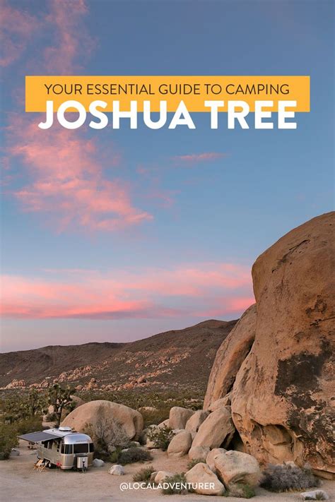 Joshua Tree Camping - What You Need to Know » Local Adventurer