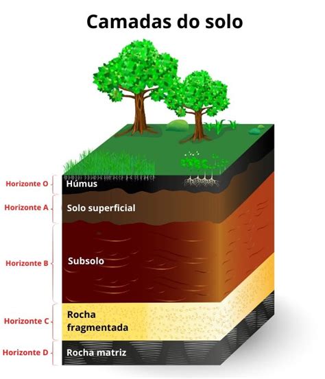 O Que é O Solo Para A Geografia - Aula de Conhecimento