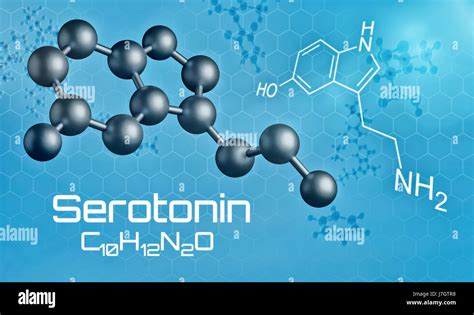 Three-dimensional molecular model of Serotonin - 3d render Stock Photo - Alamy