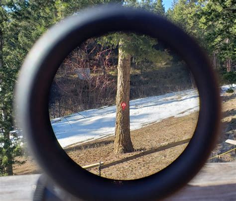 Trijicon TA31 ACOG Review: The Never-Fail Combat Optic - The Armory Life