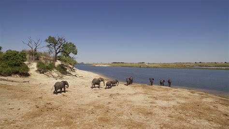 10 Botswana Travel Tips to Know Before You Go