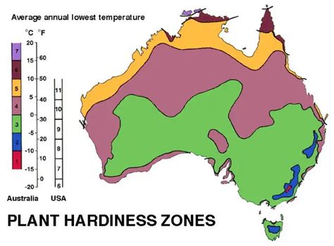 Garden Planting Hardiness Zones By US State | RemoveandReplace.com