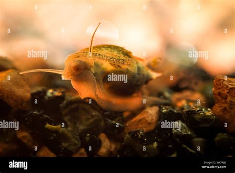 Tunnus hi-res stock photography and images - Alamy