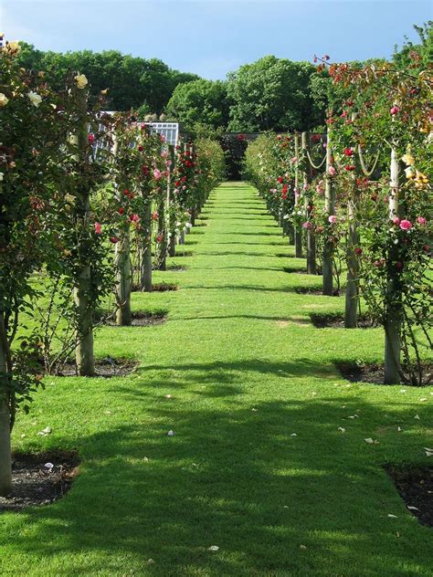 Beautiful garden at Ardgillan castle | Castle, Beautiful places, Beautiful gardens