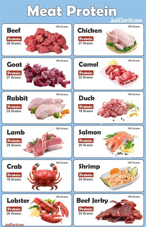 Meat Protein Chart - Protein Percentage % per 100g