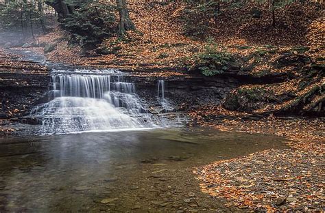 Sulphur Springs! | Waterfall, Sulphur springs, Sulphur