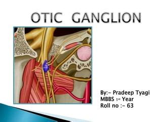 otic ganglion.pptx