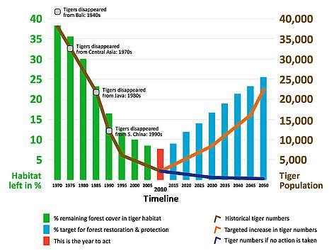 Tiger population decline | Tiger population, Tiger habitat, Graphing