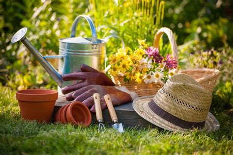 Quick and Easy Cleaning and Maintenance Tips for a Perfect Yard | TipsfromTia.com