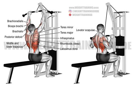 wide grip v bar lat pulldown > OFF-70%