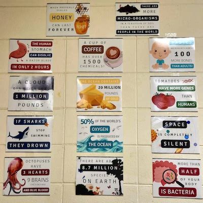 Science Classroom Banner With Chemistry Symbols, Science Classroom Décor, Life Science, Biology ...