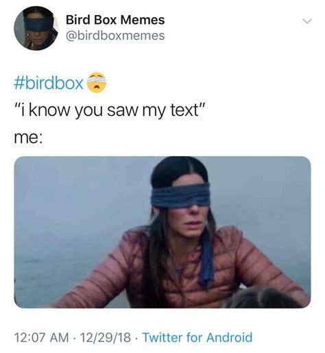 23 Hilarious 'Bird Box' Memes That Are Probably Better Than The Movie ...