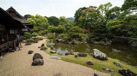 A guide to Japanese gardens for landscapers - BUILD Magazine