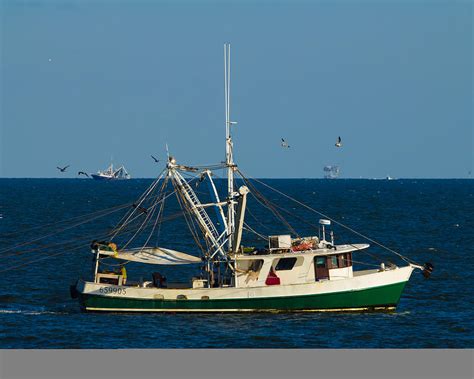 Shrimp Boat Working2 Photograph by Ernest Hamilton