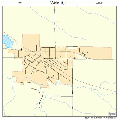 Walnut Illinois Street Map 1778526