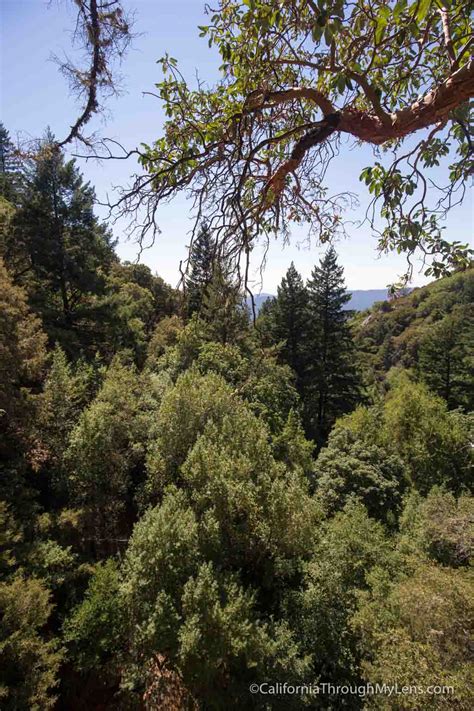 Castle Rock State Park: Hiking to Castle Rock & Castle Rock Falls - California Through My Lens